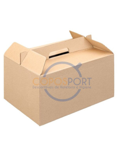 Caixa Picnic THEPACK® 24.5x13x12cm - 100UN